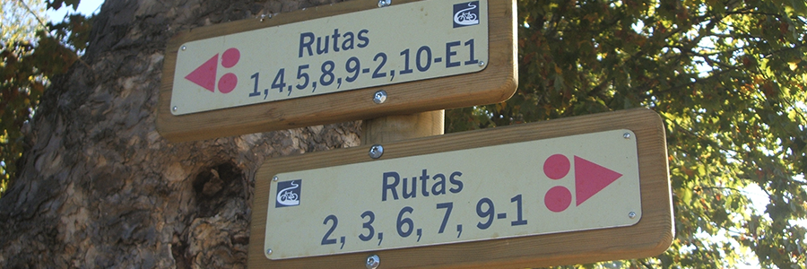 noticia3